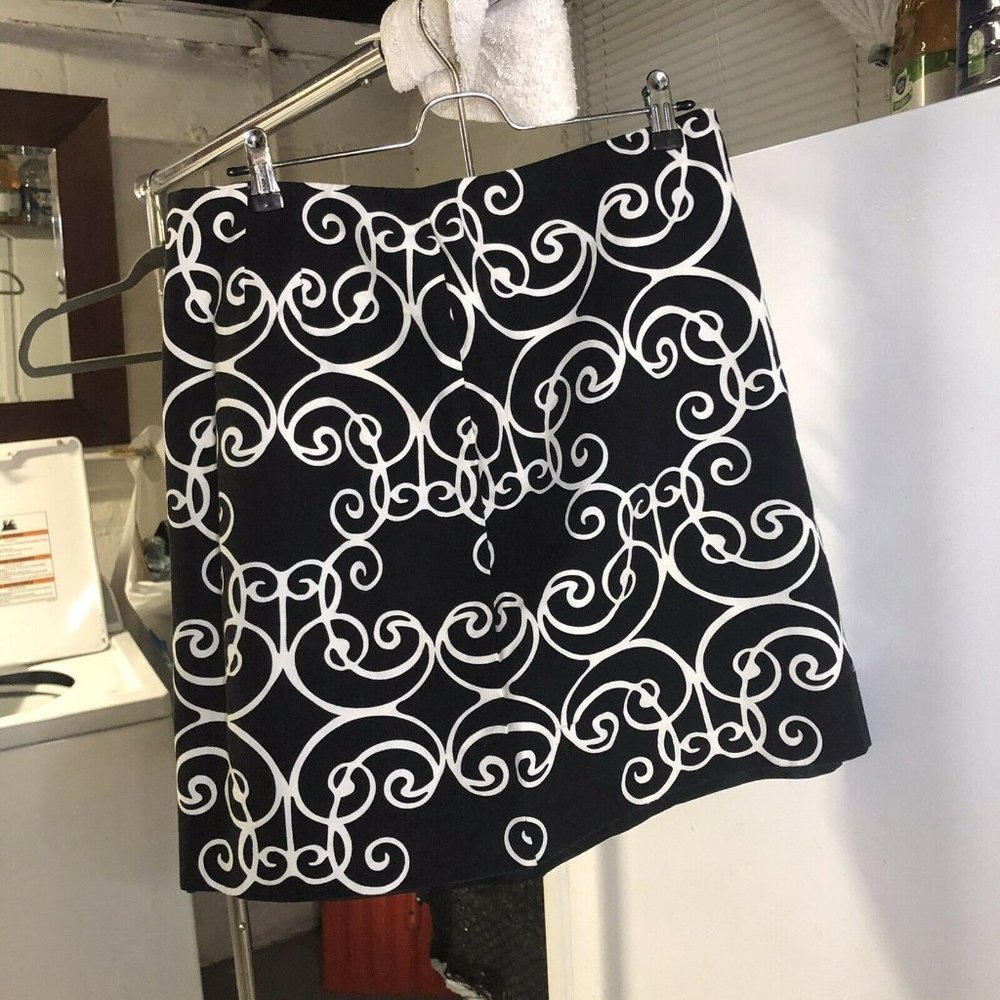 Ann Taylor Womans Contemporary Skirt Size 10P